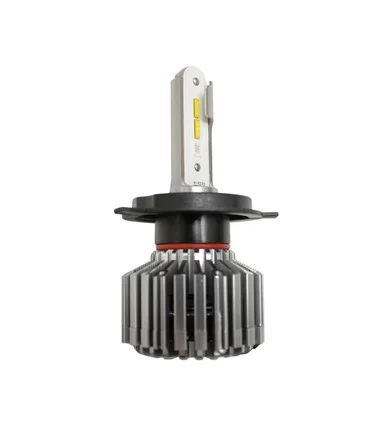racechoice202606221308531709071