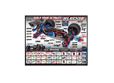 racechoice202606230855561956381